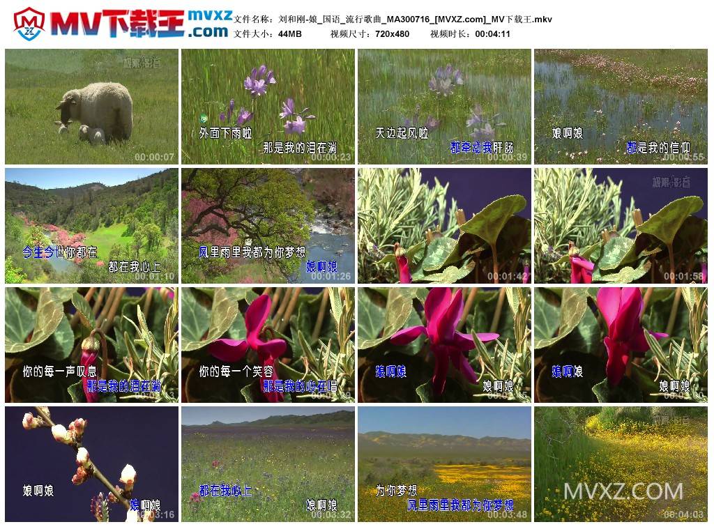 刘和刚-娘_国语_流行歌曲_MA300716